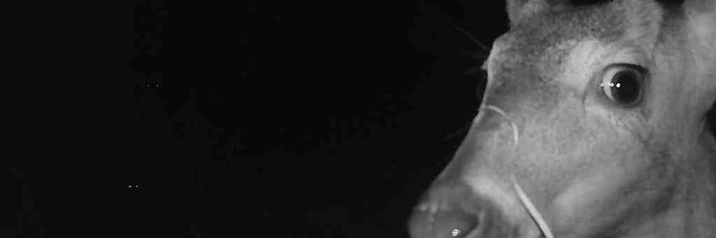 ZackSatchell's profile banner image