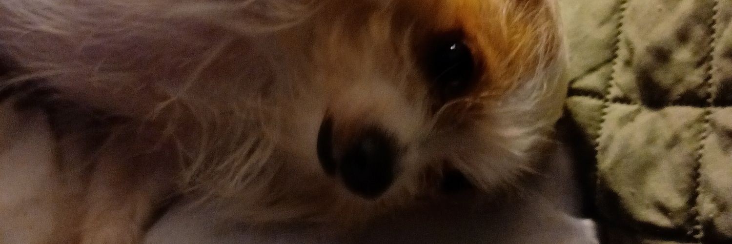 Marge.silbert@gmai.com 111marge_silbert111 banner