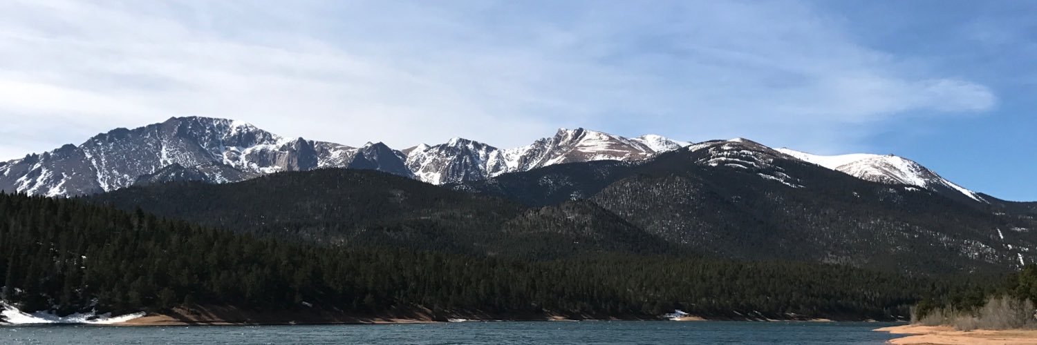 Lots_of_Log's profile banner image