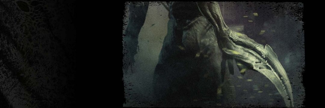 Caterkillars's profile banner image