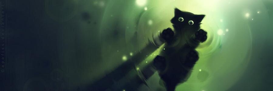beytuibo's profile banner image
