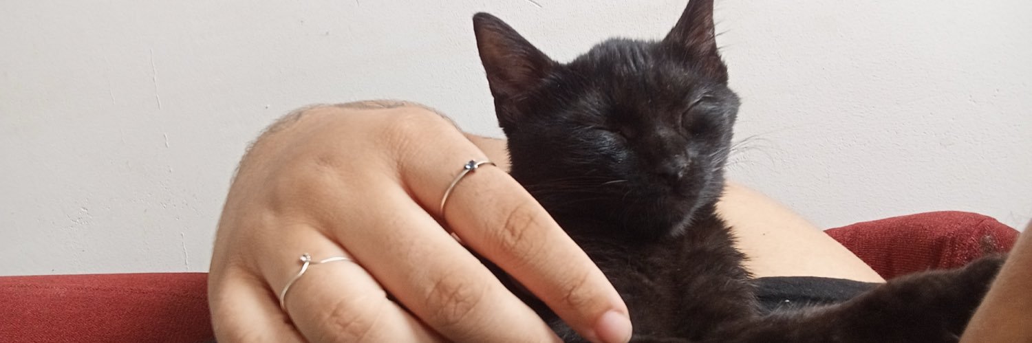 fabslz's profile banner image