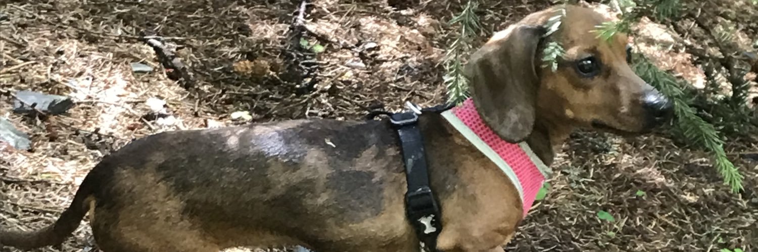 AshJMorg25's profile banner image