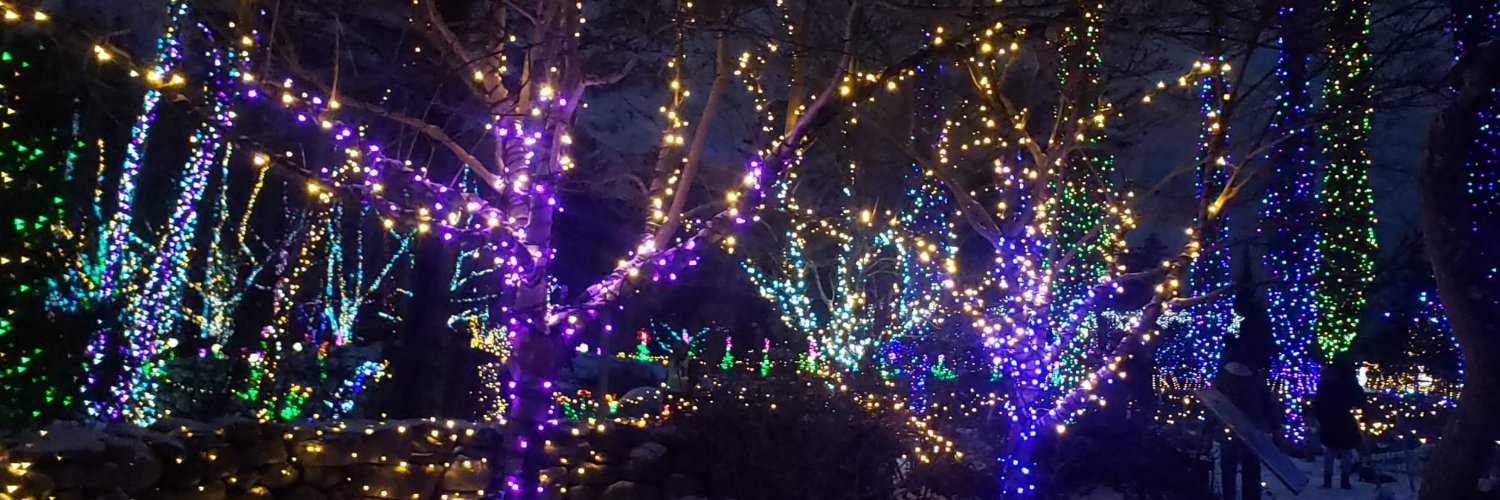 carolhaggs's profile banner image