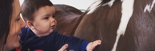 HowVeryHorsey's profile banner image