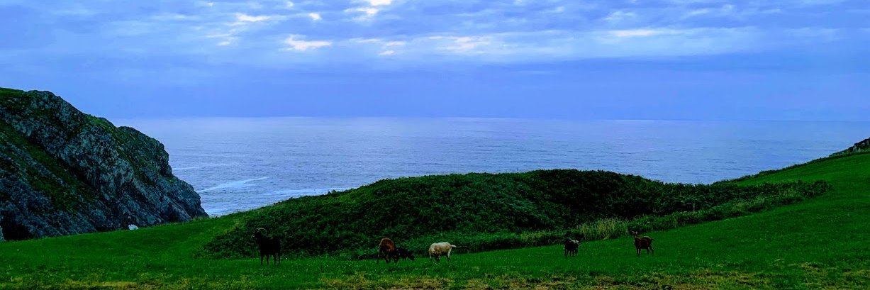 Susana Mañueco banner