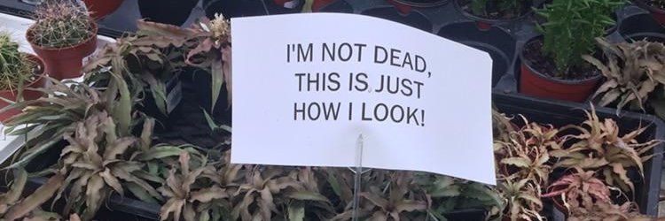 Jespe90's profile banner image