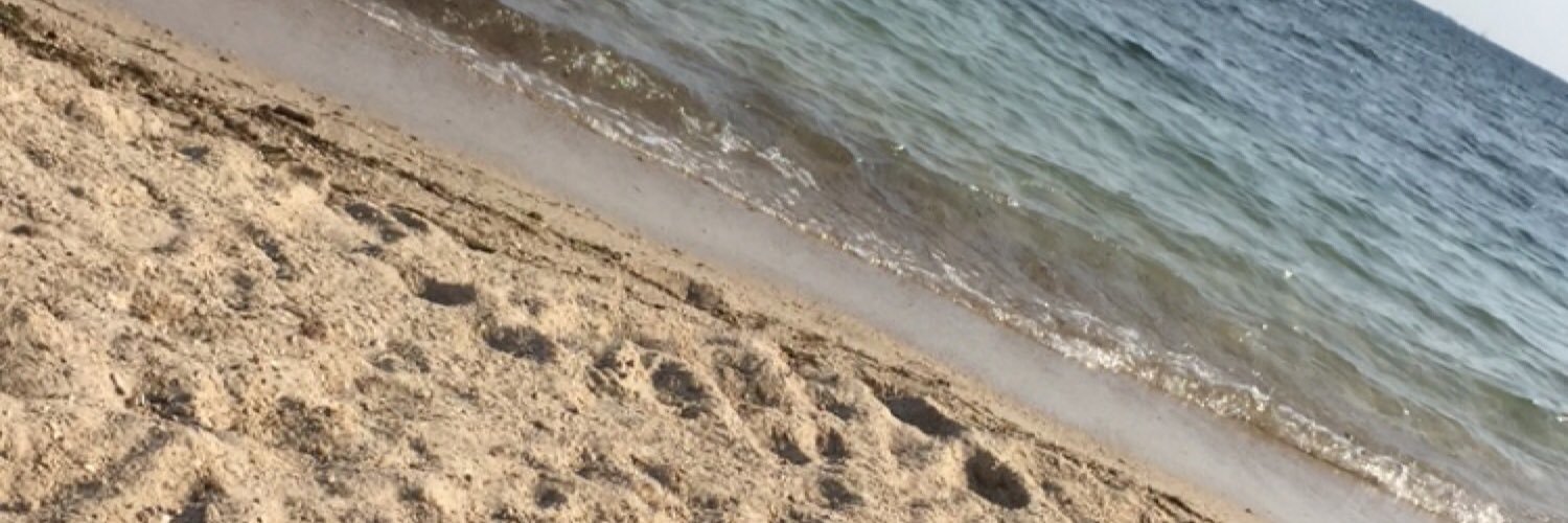 Chris_DosReis's profile banner image