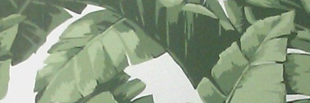 emmacaroline10's profile banner image