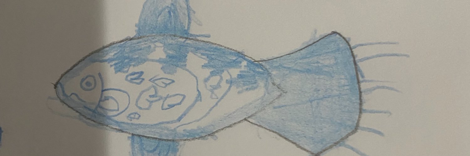 EduRogue's profile banner image