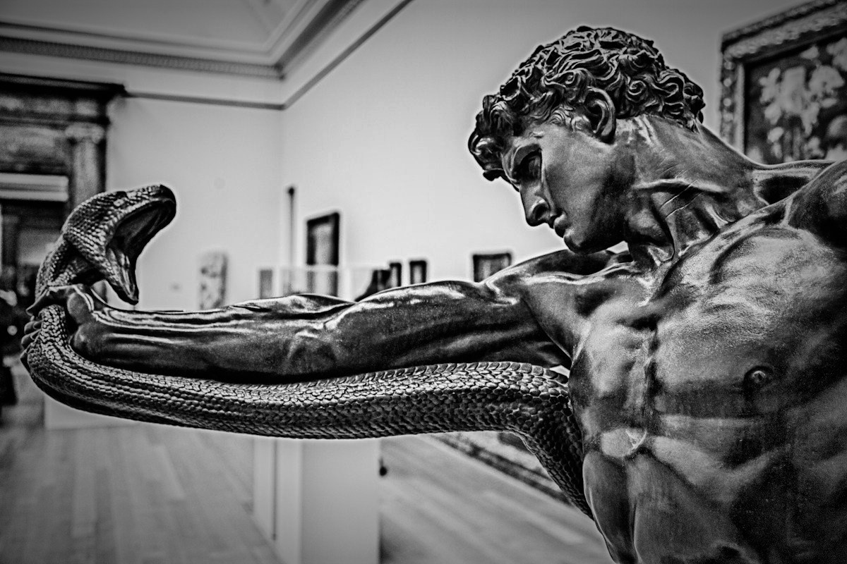 TheShenko's profile banner image