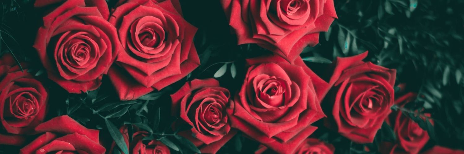 Eva_hpd's profile banner image