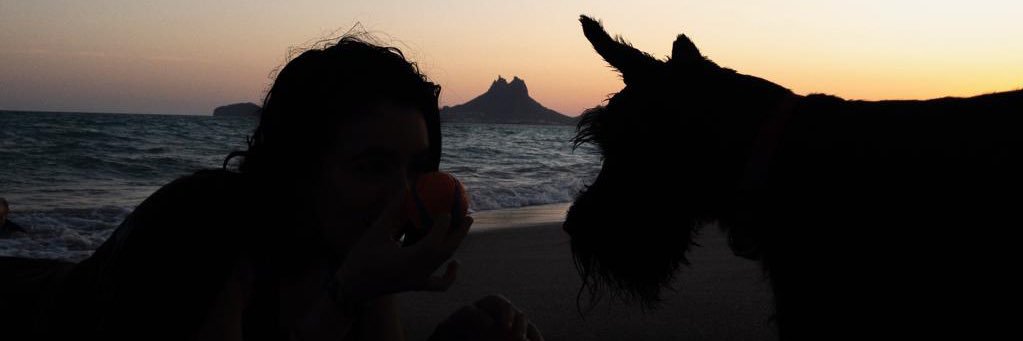 AriasAlr's profile banner image