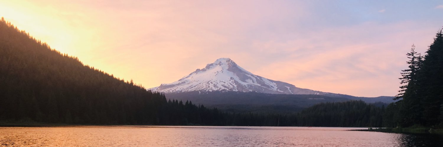 lys_richardson's profile banner image