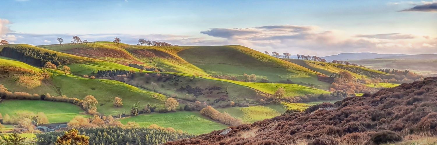 Wild about the Hills banner