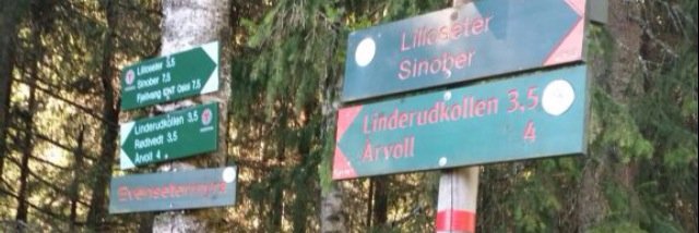 EdelSvendsen's profile banner image