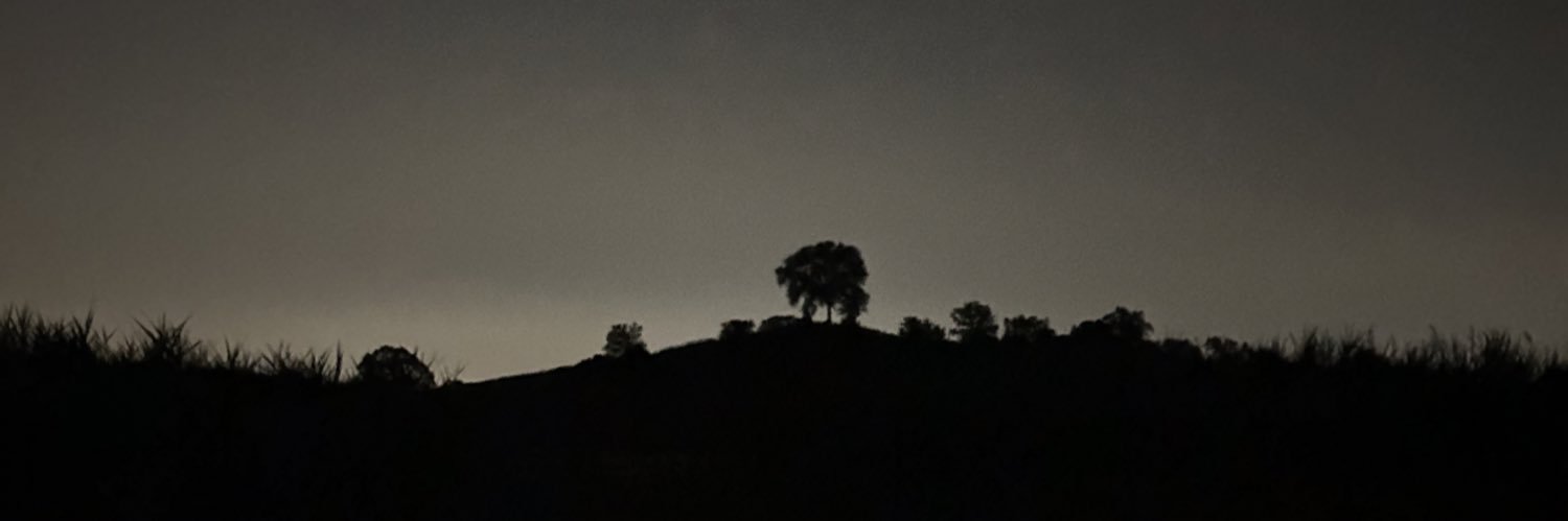 xSimples's profile banner image