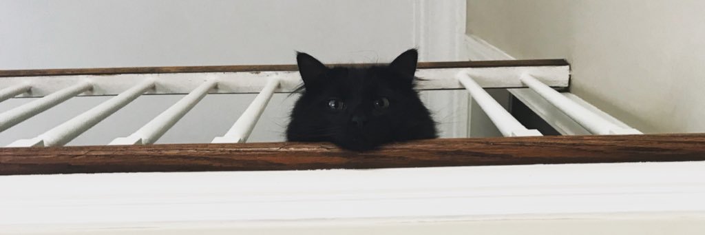 bobclom's profile banner image