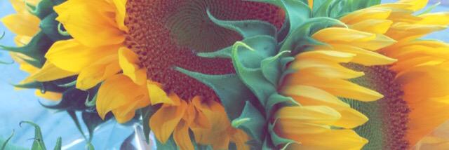 Colleenieee_1's profile banner image
