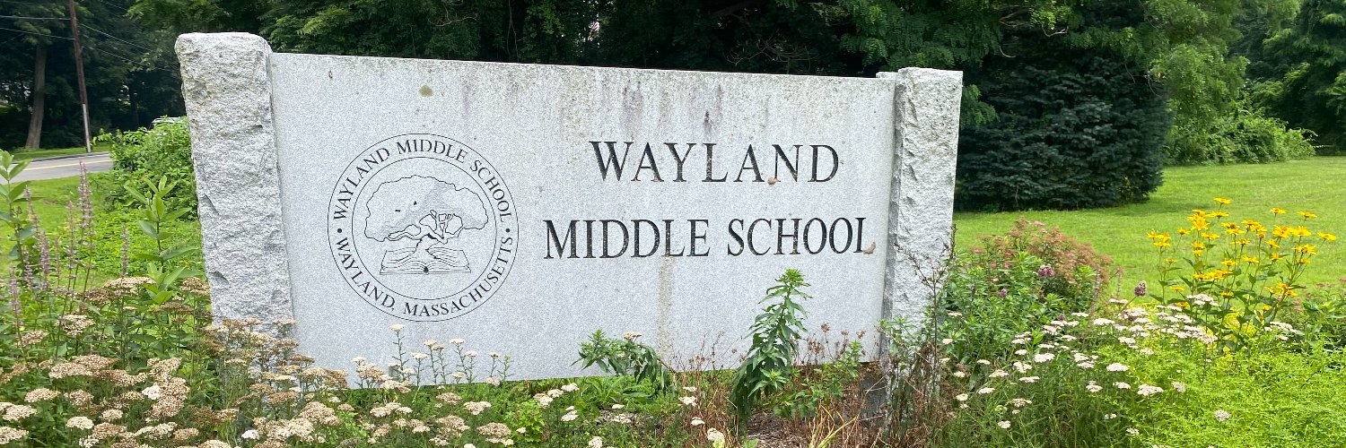 Wayland_MS's profile banner image