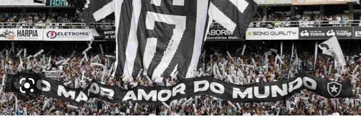Botafogo banner