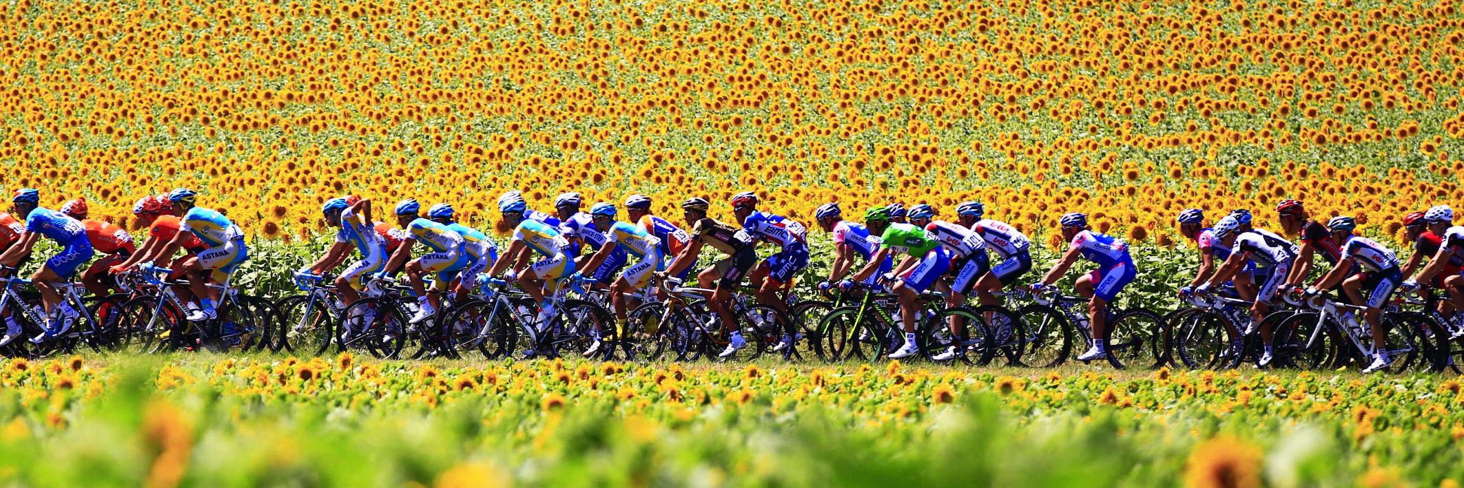 FC Media Subleague banner