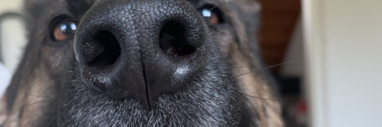 Hugoswezz's profile banner image