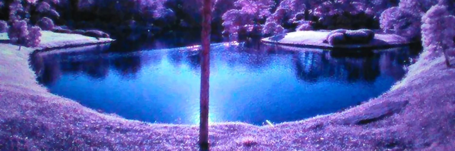 ThompsonNyree's profile banner image