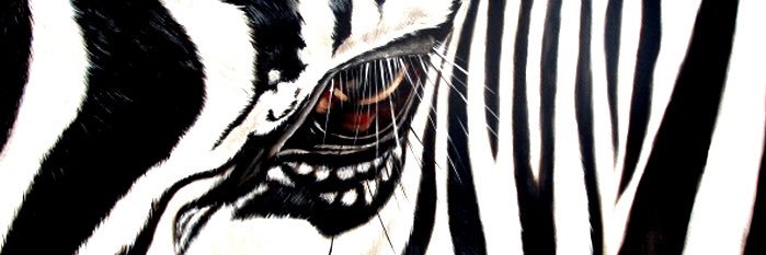 Sarah_c78's profile banner image