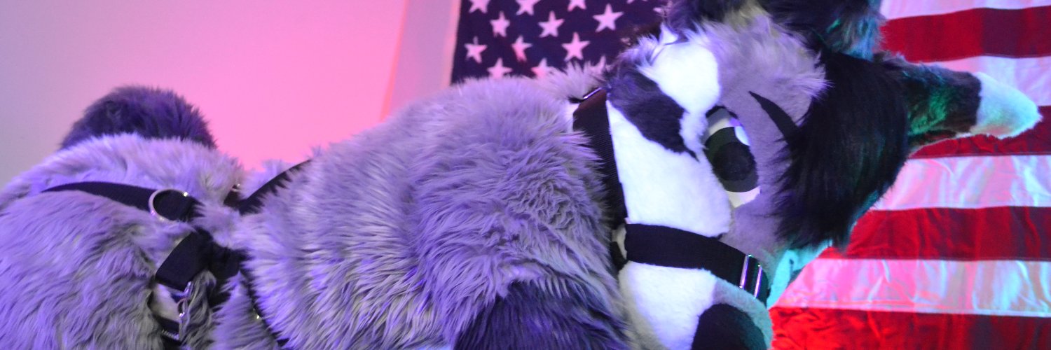 RubinTheFox's profile banner image