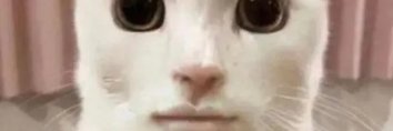 kaid3m's profile banner image