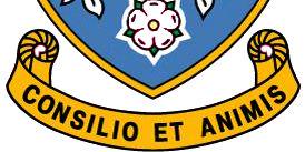 DelBoy banner