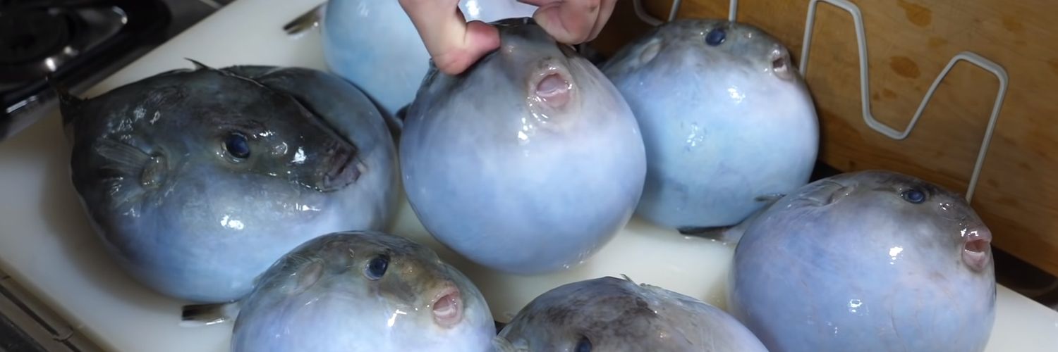 しゅがぽよε( ε ˙³˙)з🐡 banner