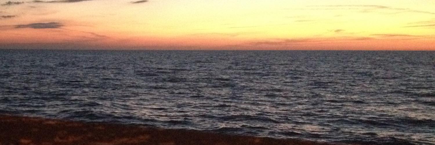 Turniip_'s profile banner image