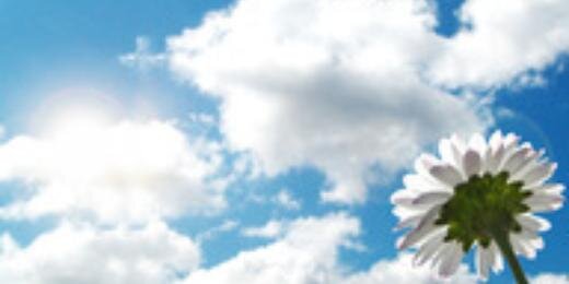 SueB2246's profile banner image