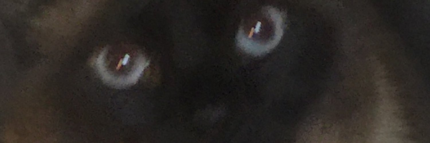 datpizzaboy's profile banner image