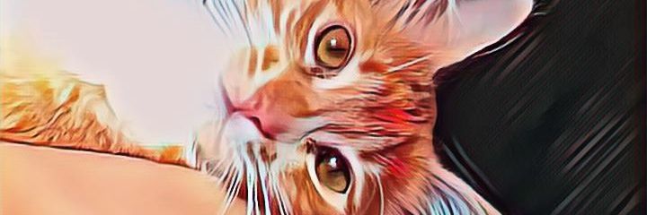 b3aah's profile banner image