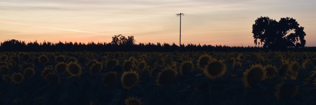 samserran_'s profile banner image