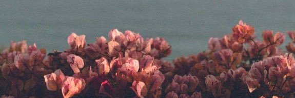 MbBadra's profile banner image