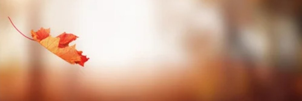 everistides9's profile banner image
