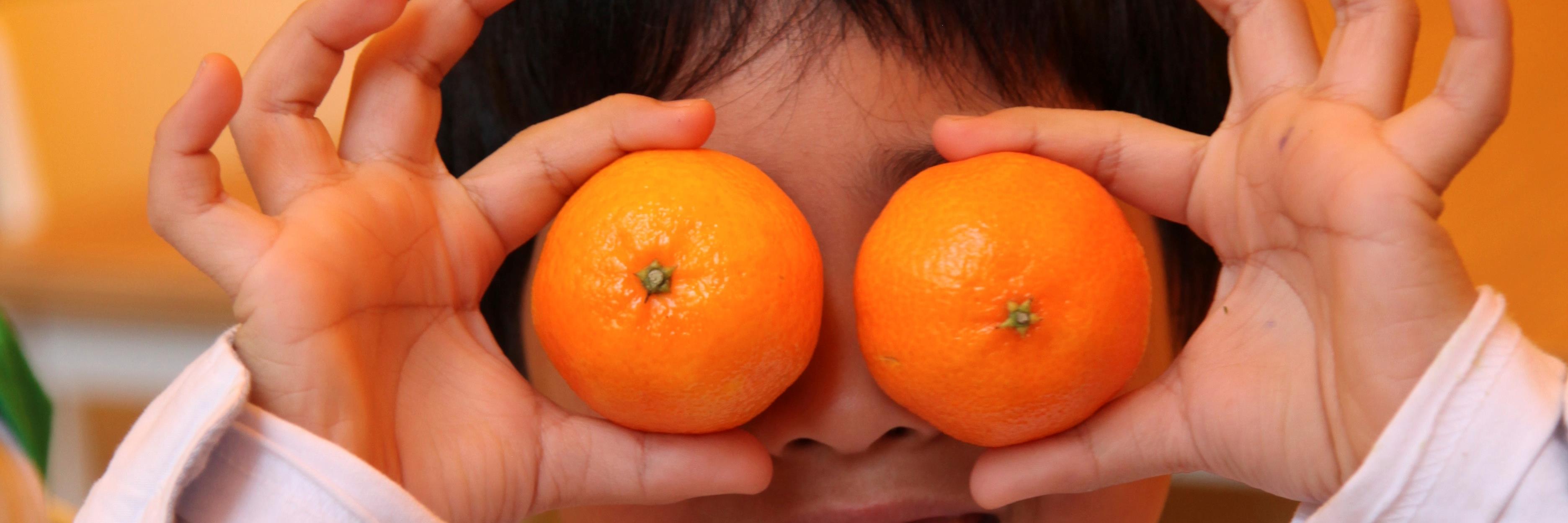Lekker_Fit's profile banner image