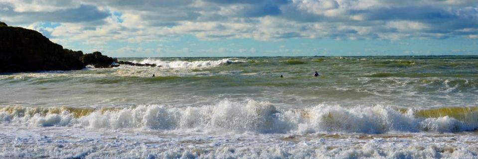 Rosemary Byde banner