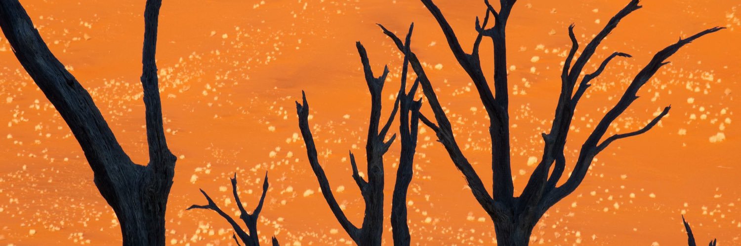 awolff018's profile banner image