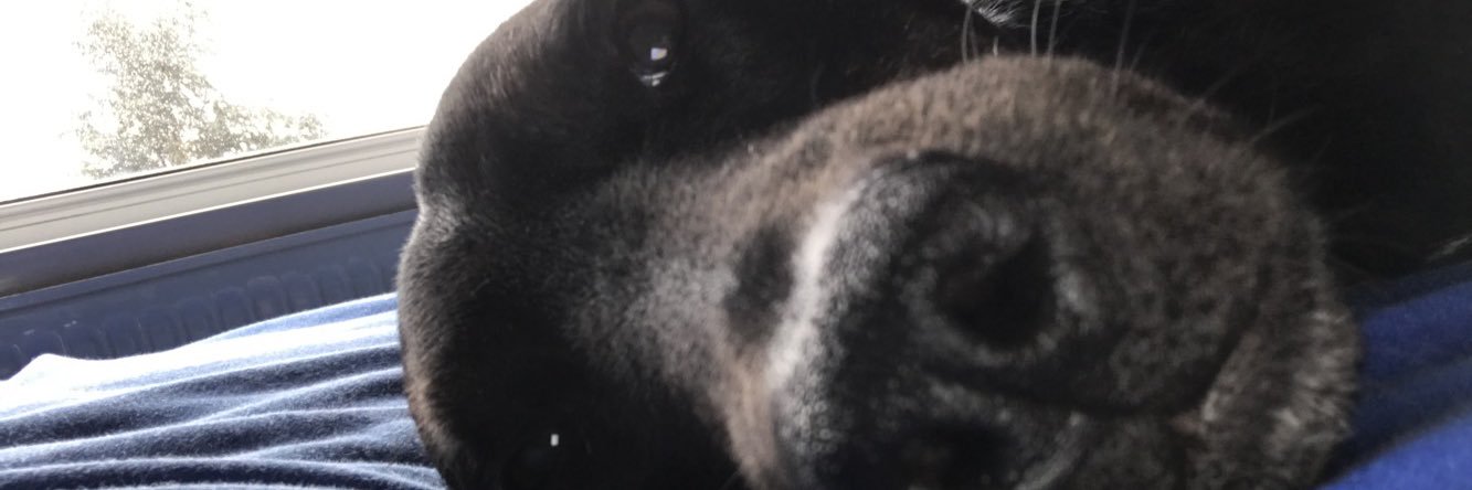 Jamie Eatherden banner