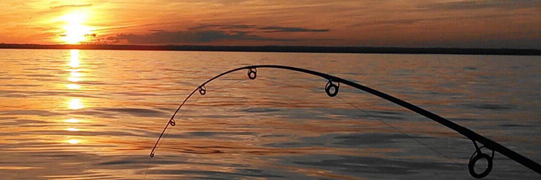 jkarp21's profile banner image