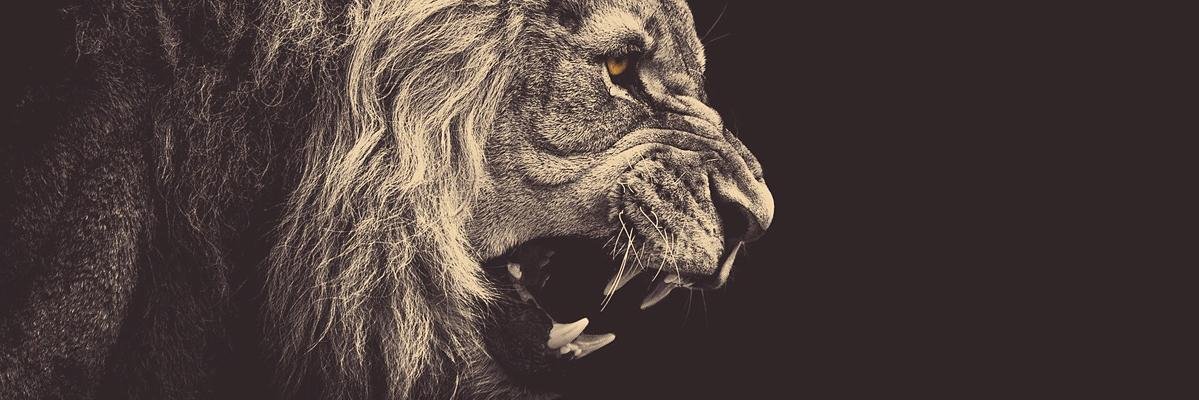 RAYSPARTAN's profile banner image