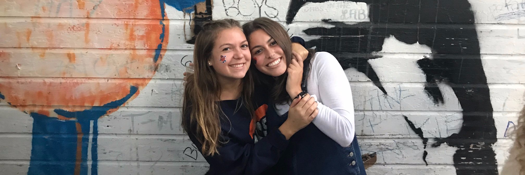 lyss_bergs's profile banner image