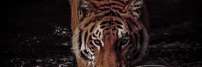 mynameNEIL's profile banner image