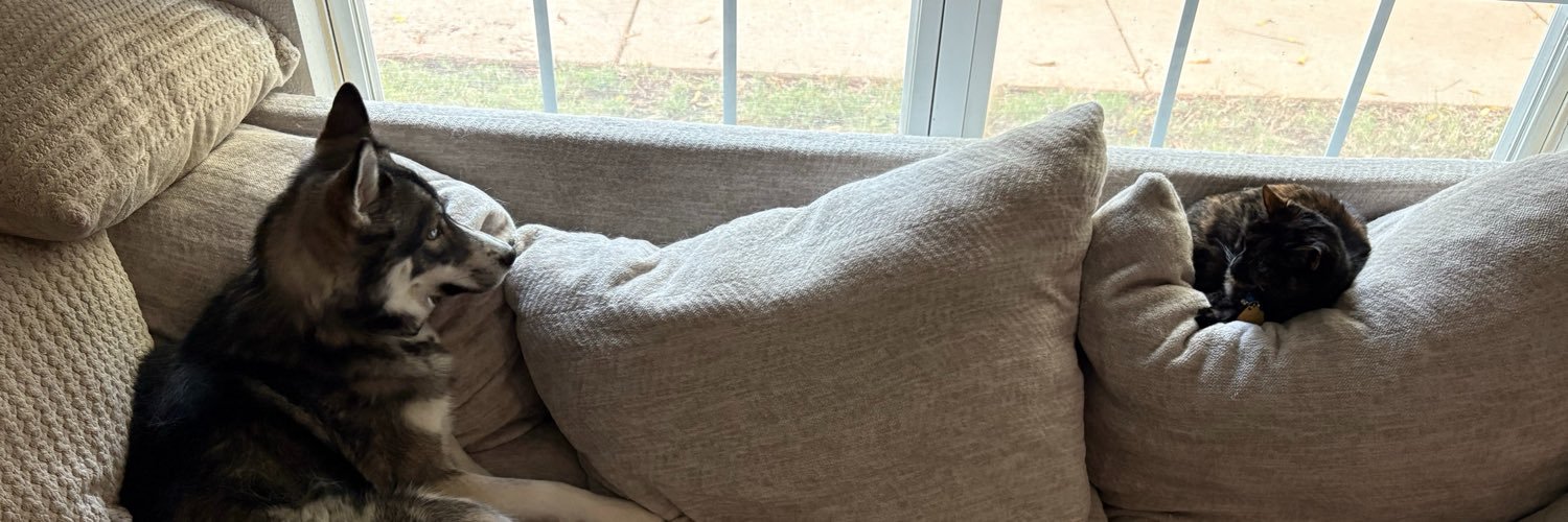 dreamy_dree's profile banner image