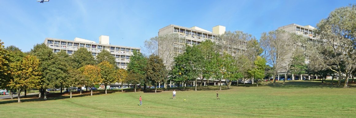 Alton Regen Watch banner